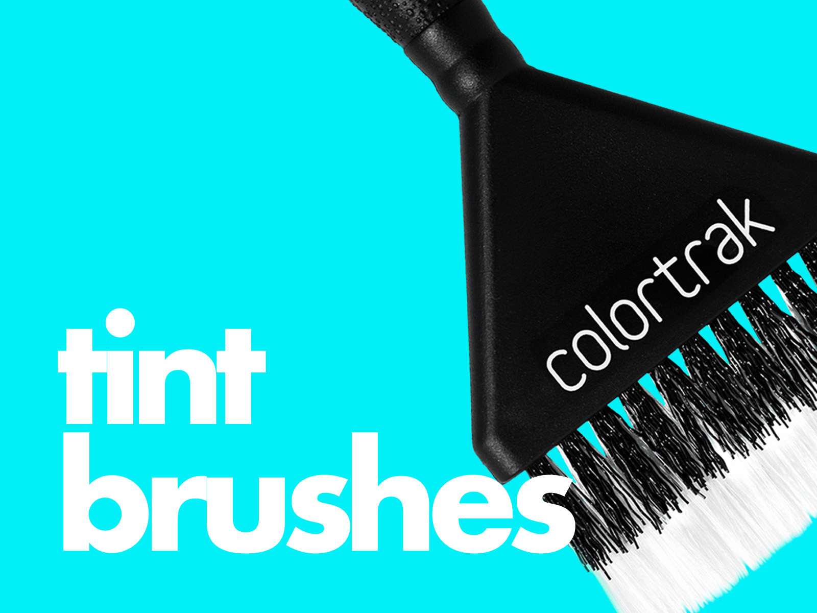 Colortrak Brushes