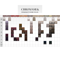 PRAVANA Chromasilk Swatch Chart