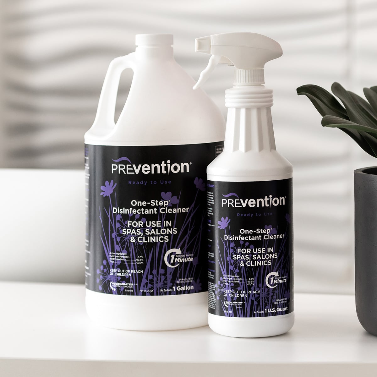 Infection Control for Salons and Spas: Why Professional Education Matters