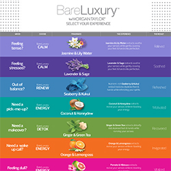 Bare Luxury Downloadable Service Menu