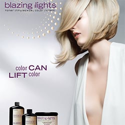 Scruples Blazing Highlights Wall Chart