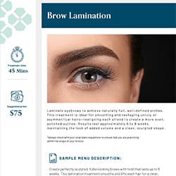 Intensive Brow Lamination Protocol