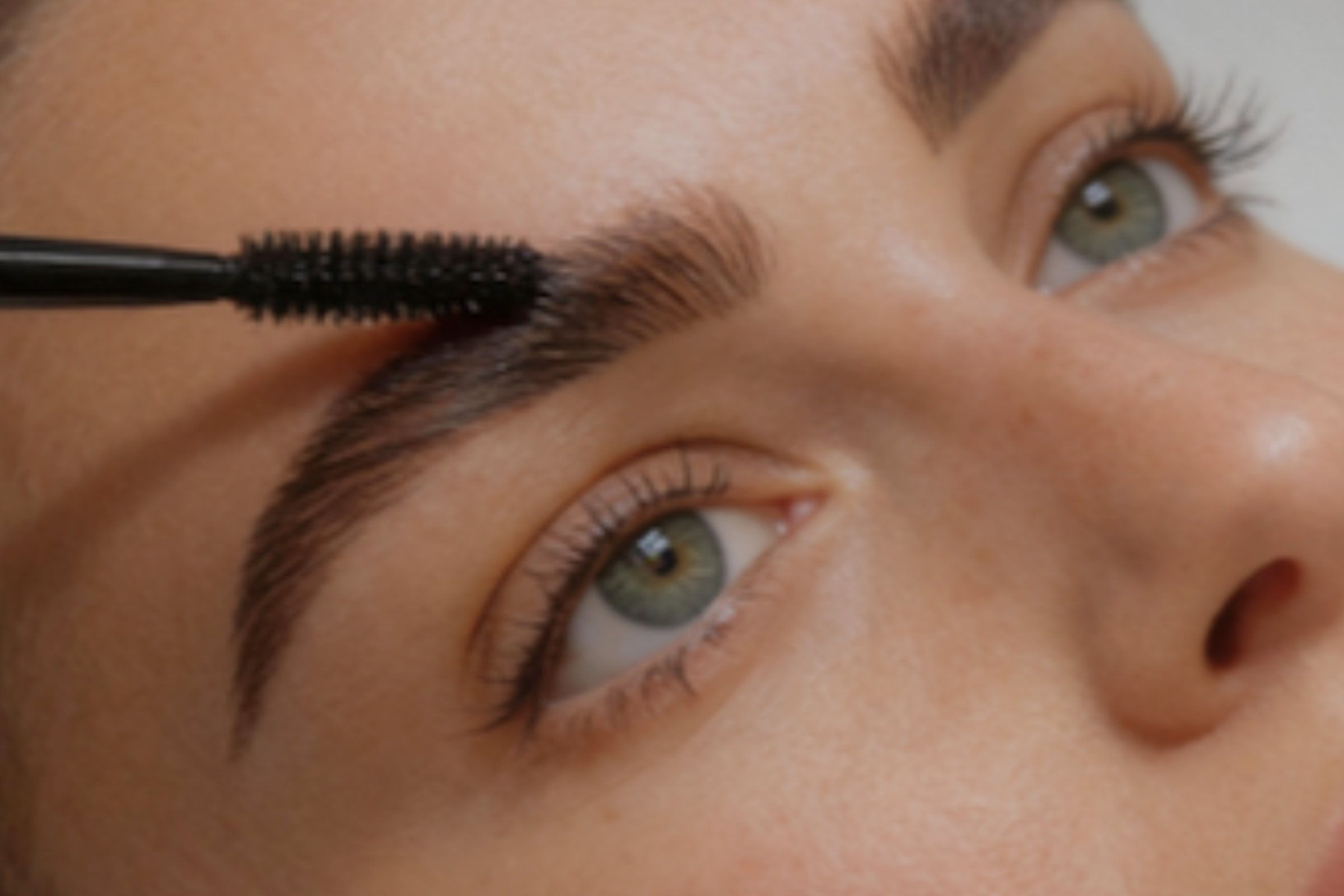 RefectoCil Intense Brow[n]s Model