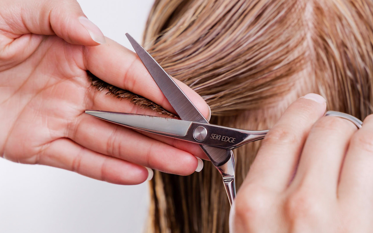 Seki Edge Scissors