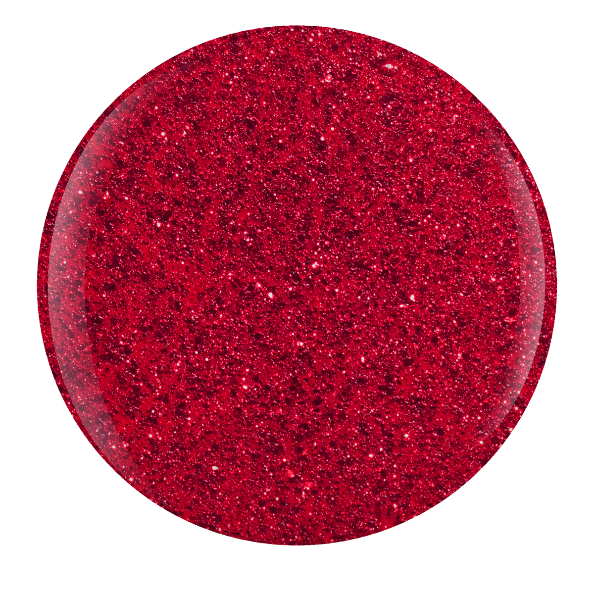 Poinsettia Stardust 